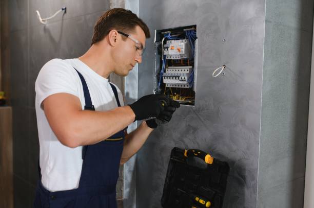 Best Electric Panel Repair  in Carlsbad, NM