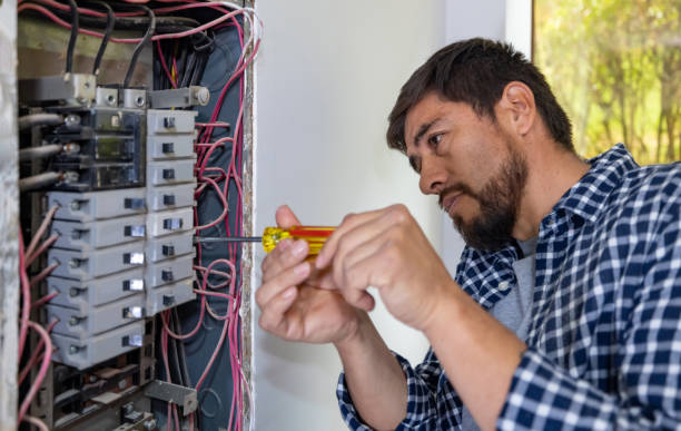 Best Electric Panel Repair  in Carlsbad, NM